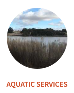 aquatic-services