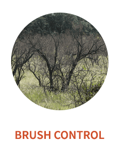 brush-control