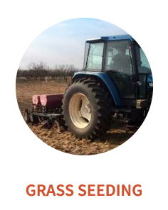 grass-seeding
